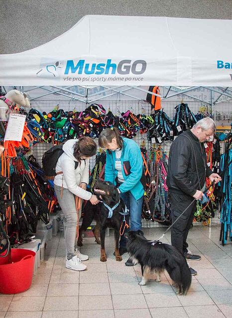 MushGO Kalendář akcí 05-07/2021
