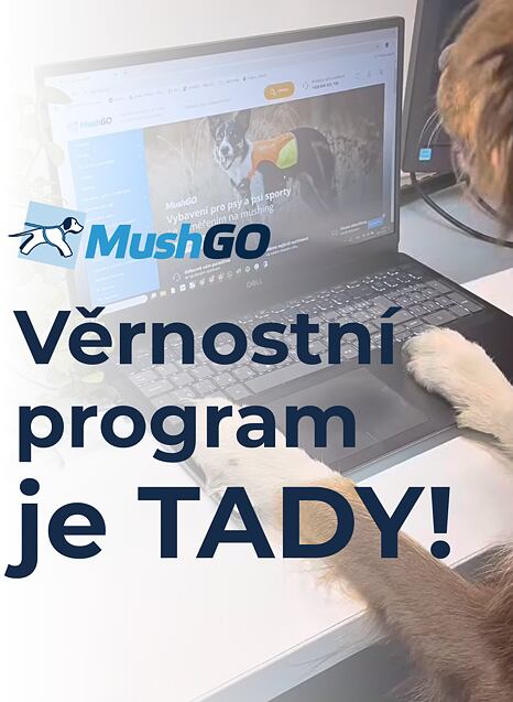 Věrnostní program začíná