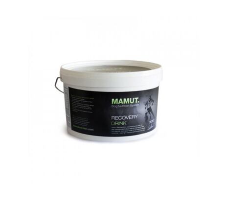 Mamut - Recovery drink