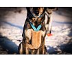 V.I.P. Dogwear - Chránič postroje Soft Cover