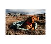 hurtta spacak dreamer eco life01