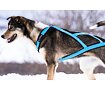 V.I.P Dogwear - Postroj tažný X