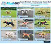 Ukázka jak sedí Happy Animals - Postroj tažný Happy Bull na vybraných psech